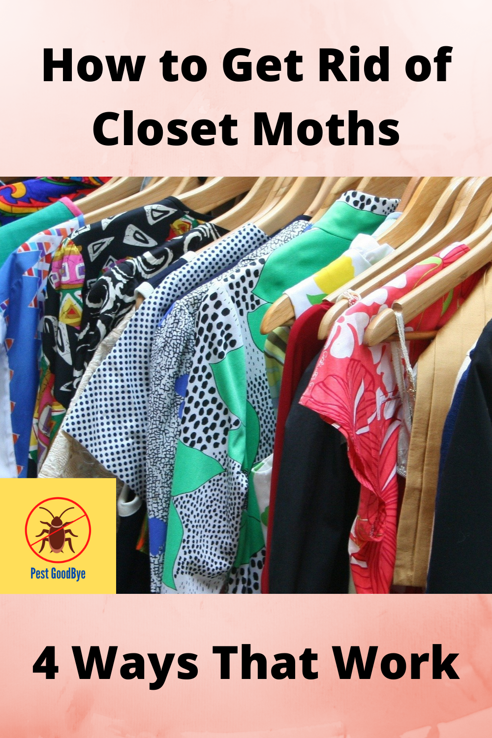 How To Get Rid Of Closet Moths - 4 Ways That Work - Pest GoodBye